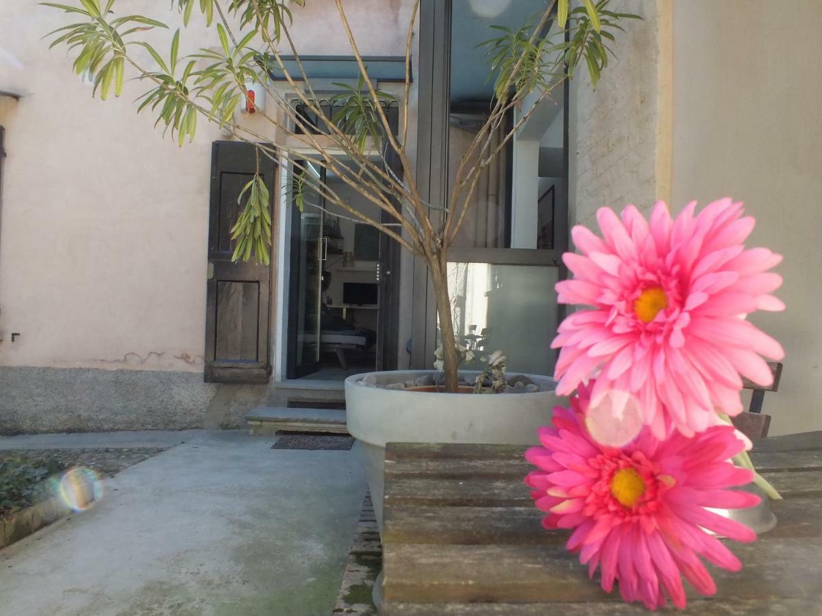 Loft Garden In Bologna'S Heart Ospedale Rizzoli Apartment ภายนอก รูปภาพ